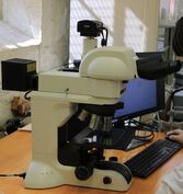 img-1090
